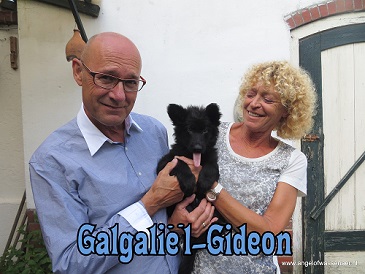 Galgaliël-Gideon vertrekt naar Goes